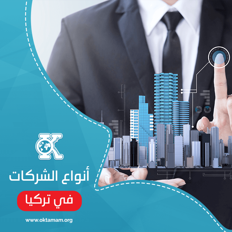 أنواع الشركات في تركيا