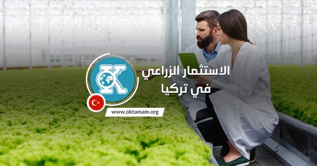 web-oktamam-posts-template-3 الاستثمار الزراعي في تركيا